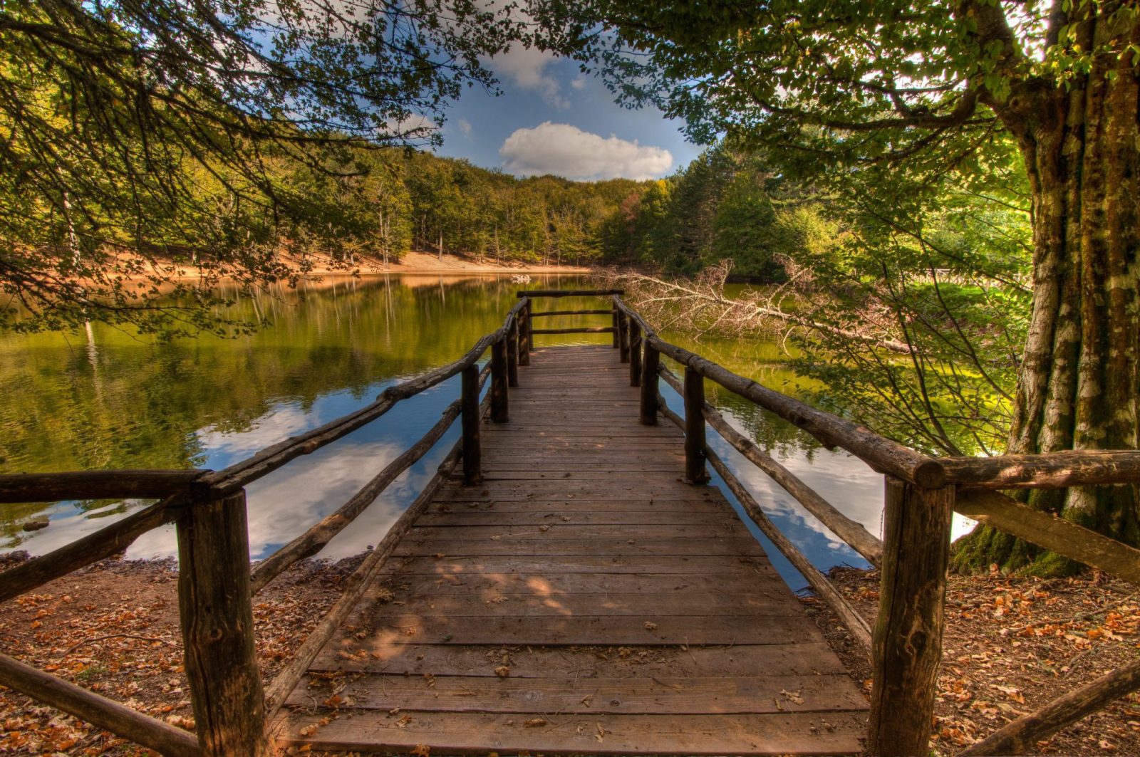 Pier,Over,A,Lake,In,Foresta,Umbra,(umbra,Forest),In