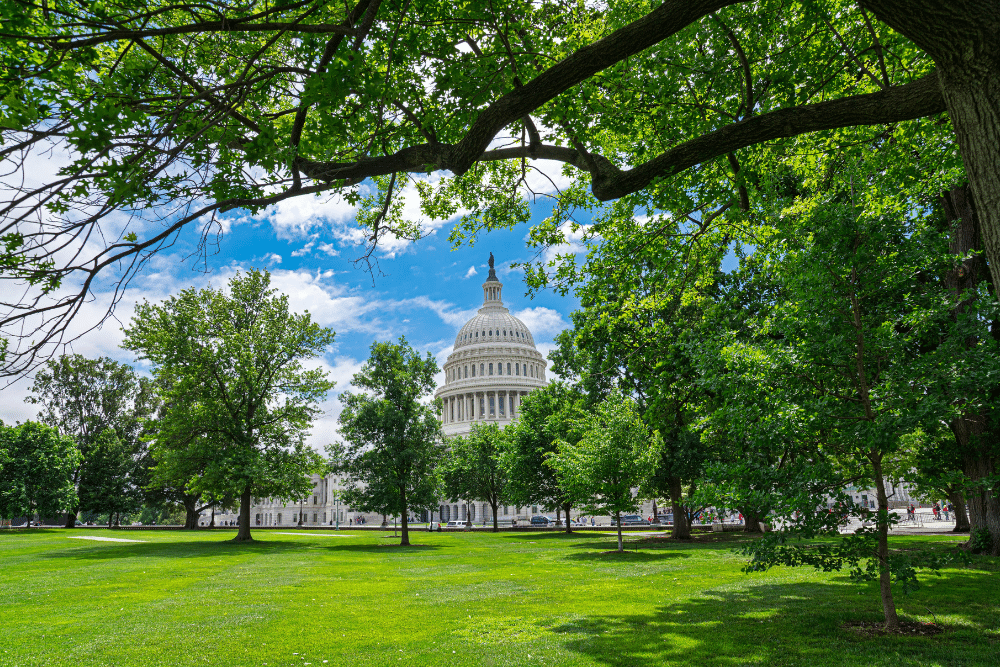 national mall washington d.c USA